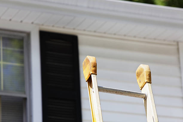 Best Siding Replacement  in , VA